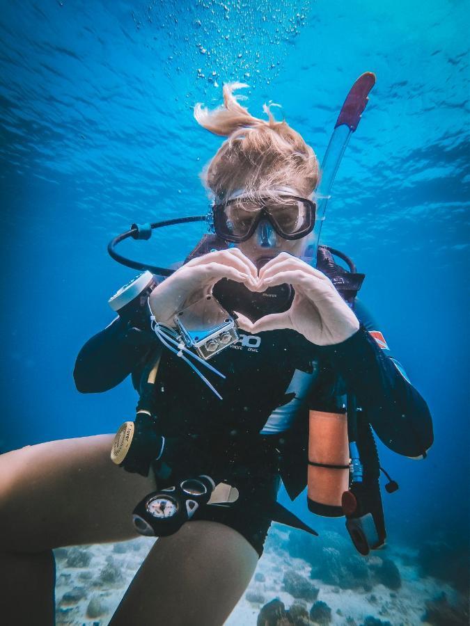 Dpm Diving & Bar Herberg
