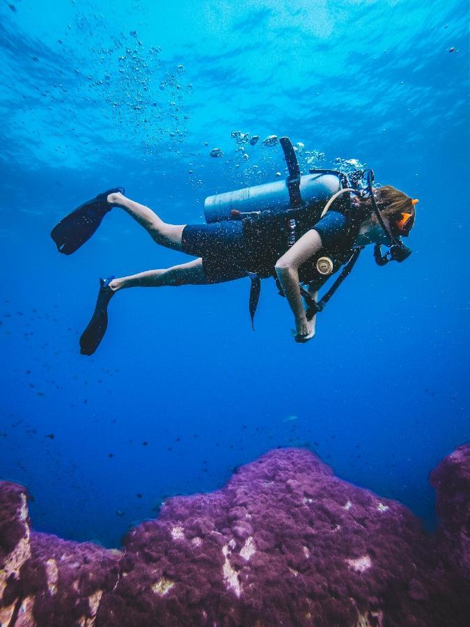 Dpm Diving & Bar Herberg