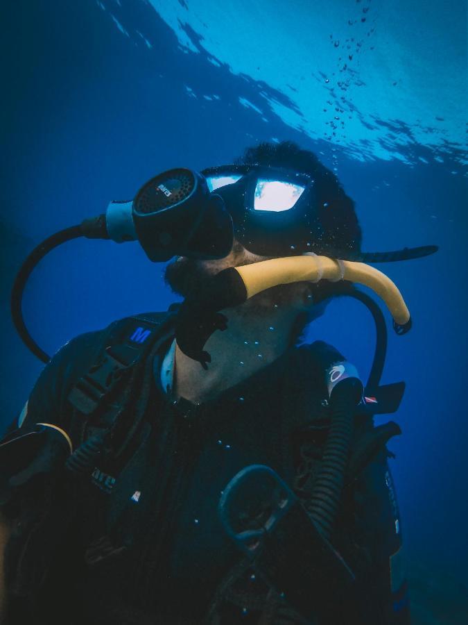 Dpm Diving & Bar Herberg