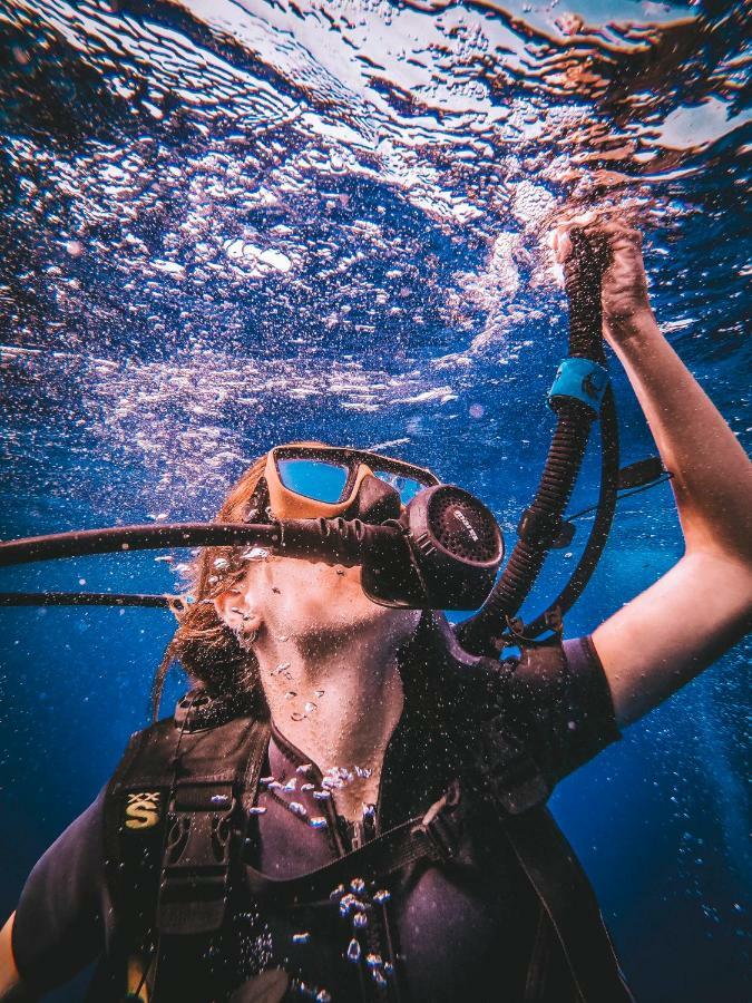Herberg Dpm Diving & Bar